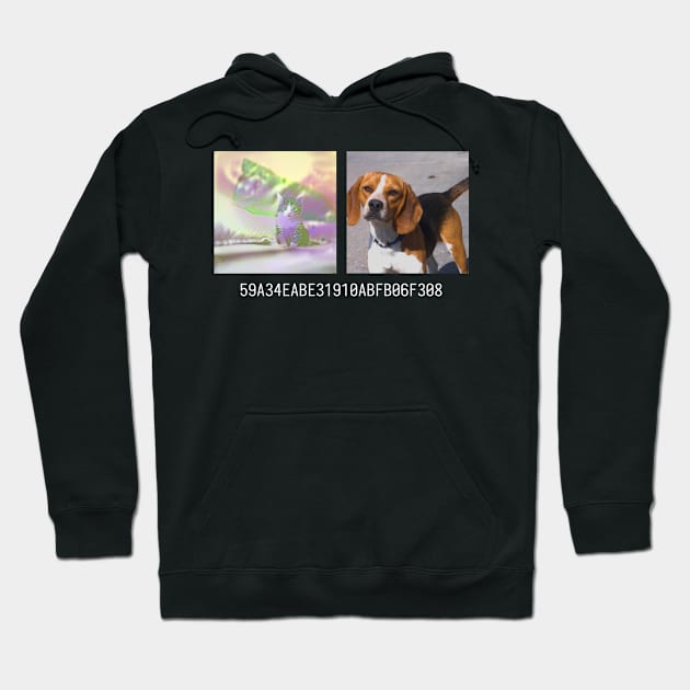 da4b9237 Hoodie by This Hash Collision Is Not ...